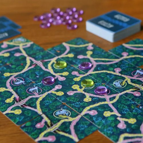 Fairy Trails - Kaartspel | NL _2| Spelgenot