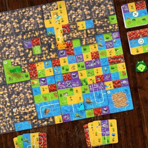 Race to the Raft - Bordspel | EN _2| Spelgenot