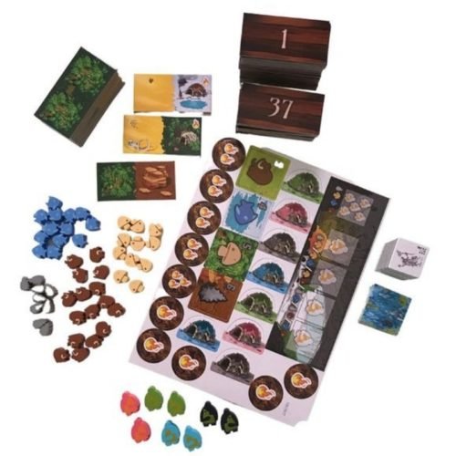 Kingdomino Origins - Bordspel | EN _2| Spelgenot